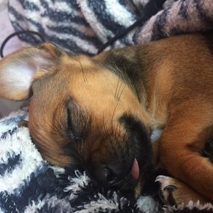 Meet your Posher, Tania